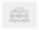 Bosch PPW 2000